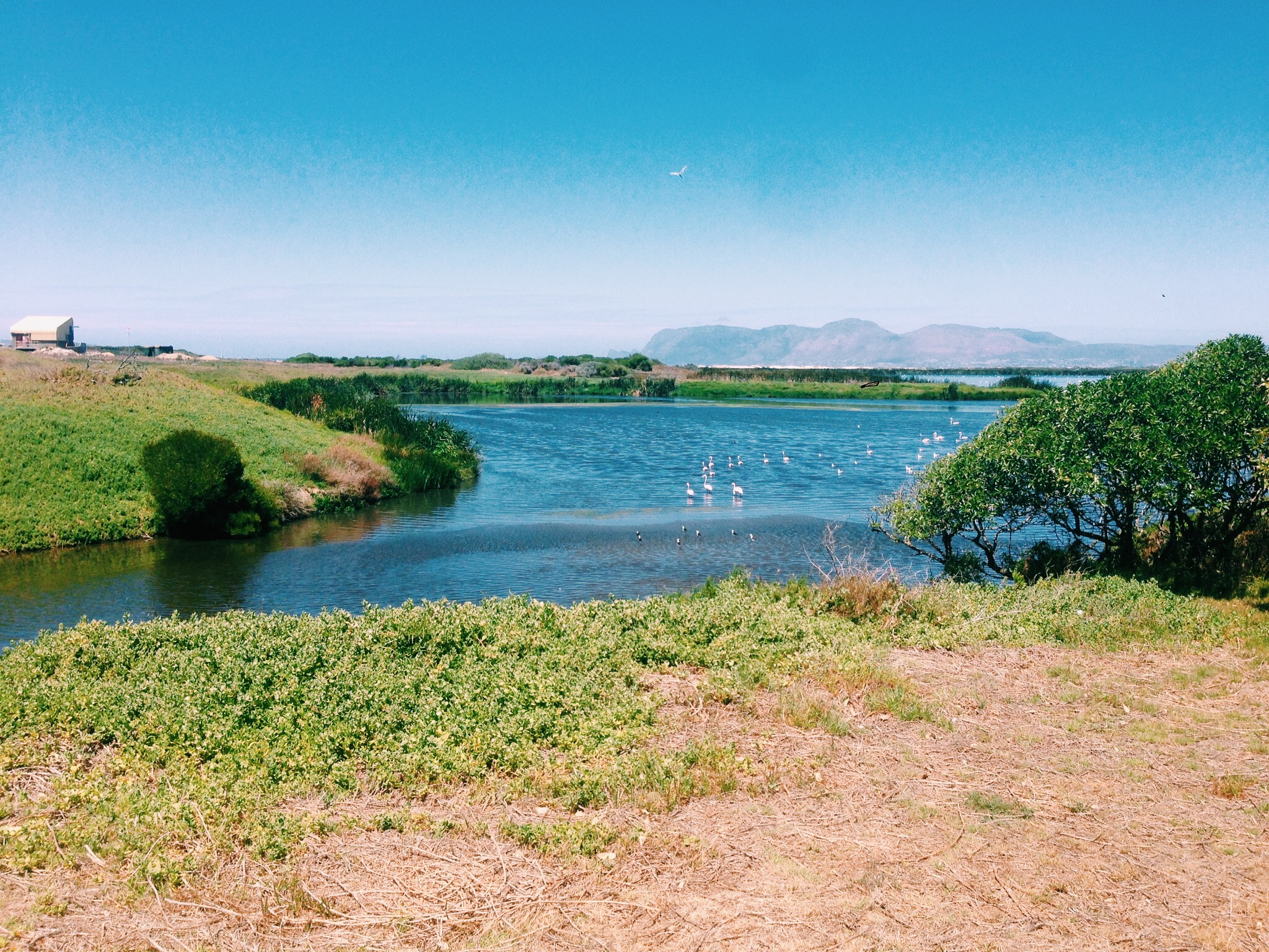 Processed with VSCO with c1 preset